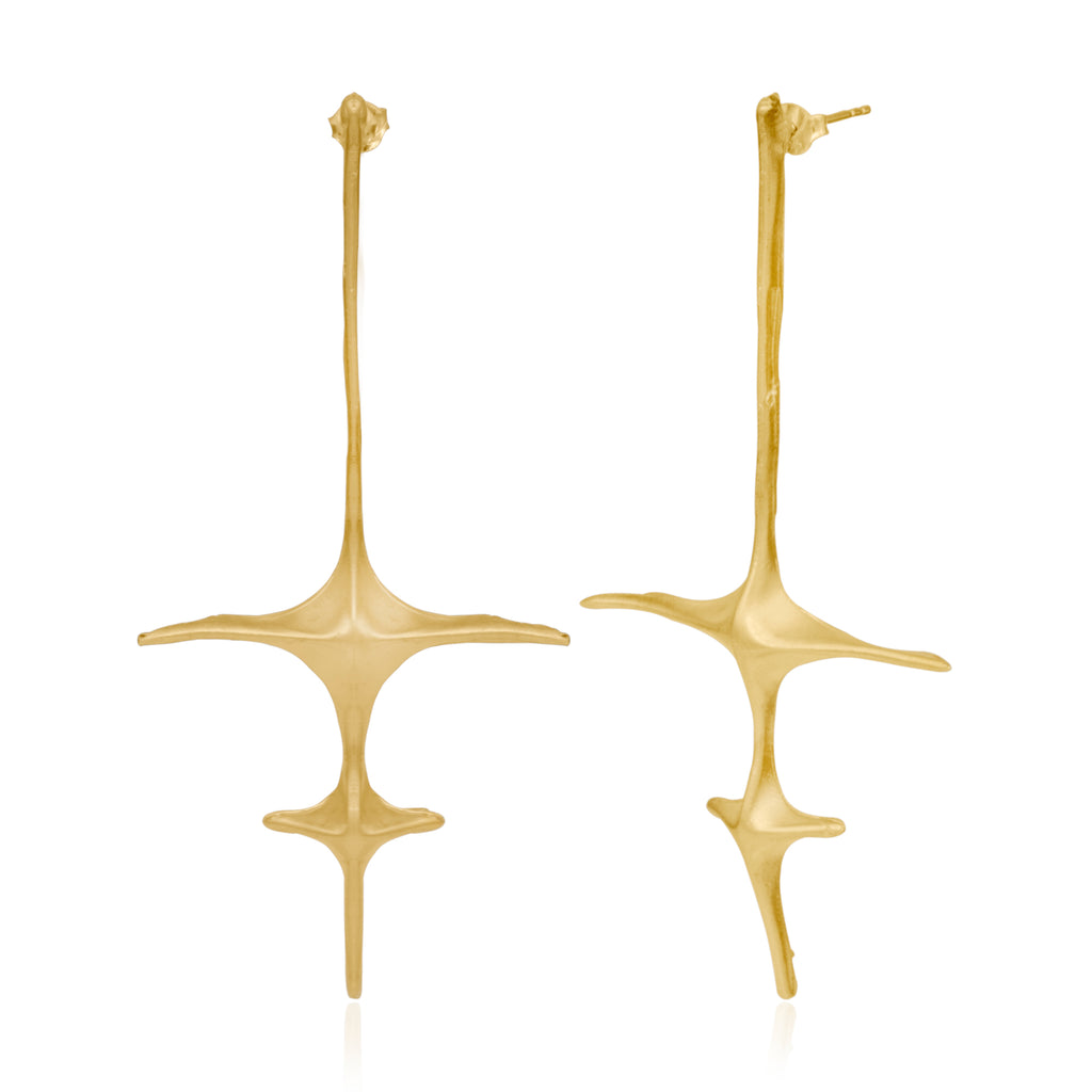 Spinal earring